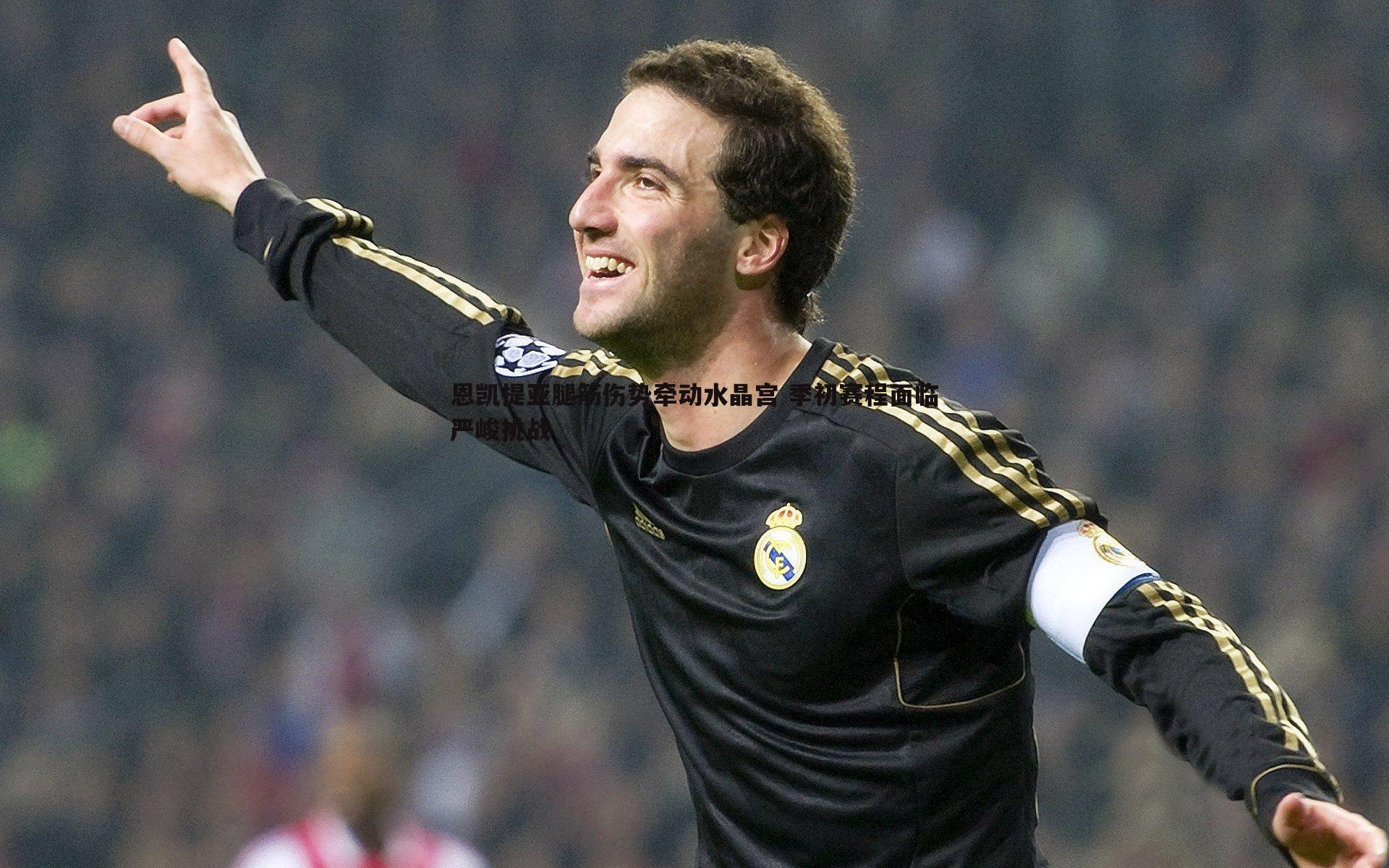 恩凯提亚腿筋伤势牵动水晶宫 季初赛程面临严峻挑战